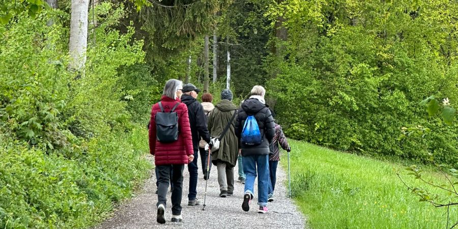 Wanderer Wald