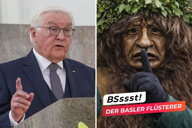 steinmeier riehen