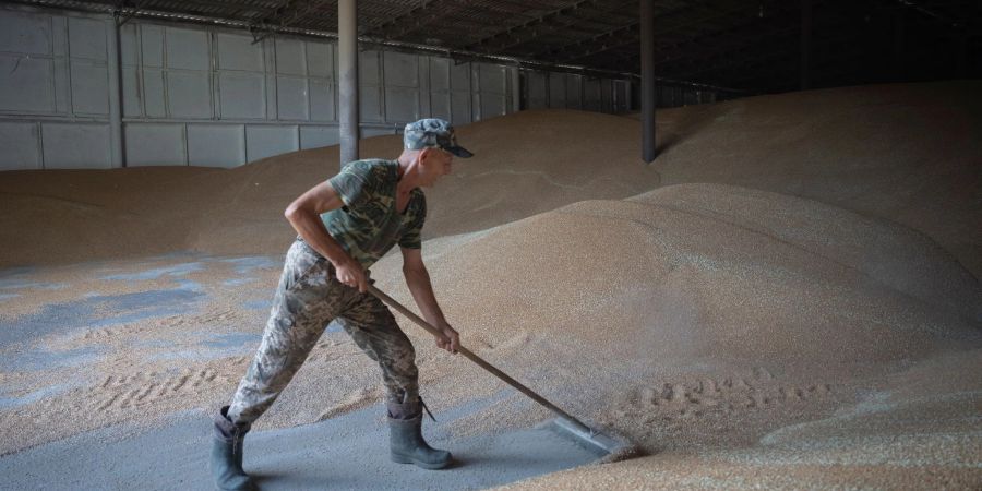 Die Einfuhr von Weizen aus der Ukraine bleibt zunächst zollfrei.