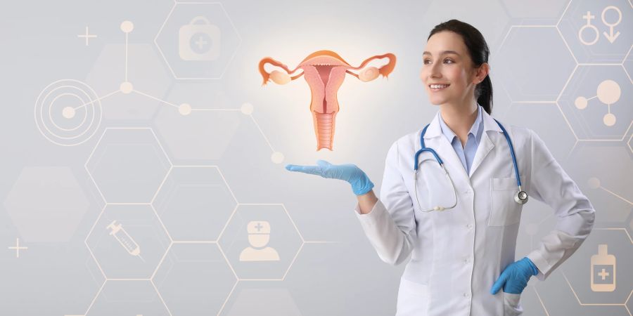 Der neue Chip soll tiefere Einblicke in die weibliche reproduktive Gesundheit gewähren.