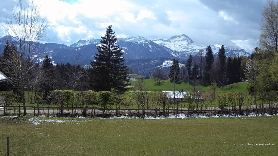 Gestern sah es im Hemberg SG, welcher auf unter 1000 Meter liegt, noch grösstenteils grün aus.