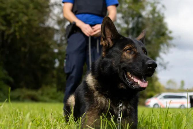 Polizei