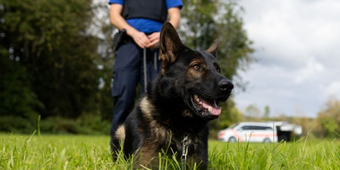 Polizei