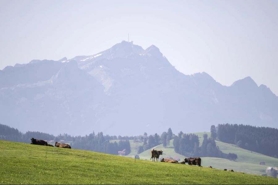 Grund dafür sind zu hohe PFAS-Belastungen in den Böden.