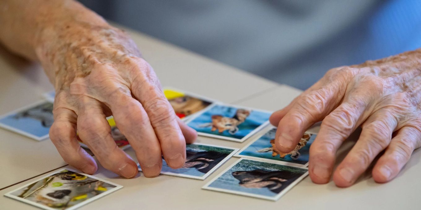 Alzheimer-Forschung: Neuer Wirkstoff verlangsamt Symptome