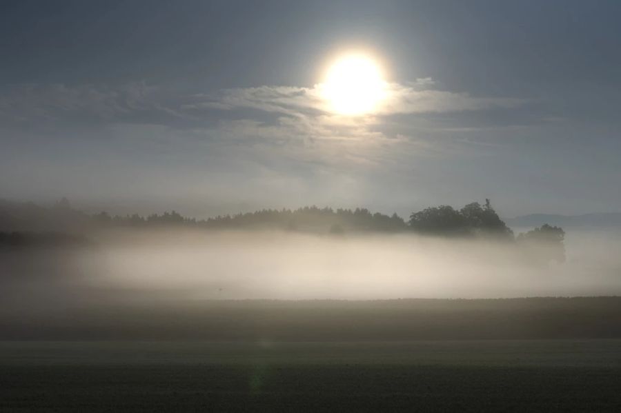 Am Morgen gibt es noch stellenweise Nebel – danach wird es sonnig und warm. (Symbolbild)