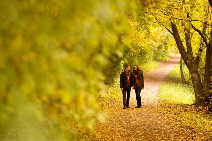 Langsamkeit gibt uns die Möglichkeit, bewusster zu kommunizieren, Konflikte zu lösen und eine emotionale Balance zu finden. Paar geht im Herbstwald spazieren.