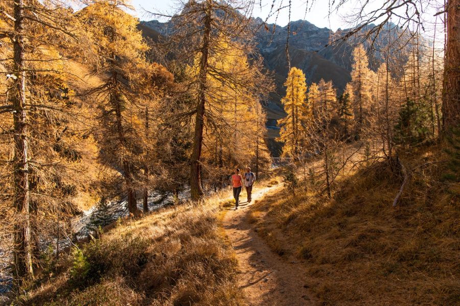 Val Trupchun Engadin