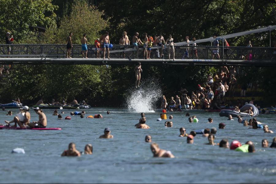 Berner Schönausteg Sommer Schwimmer