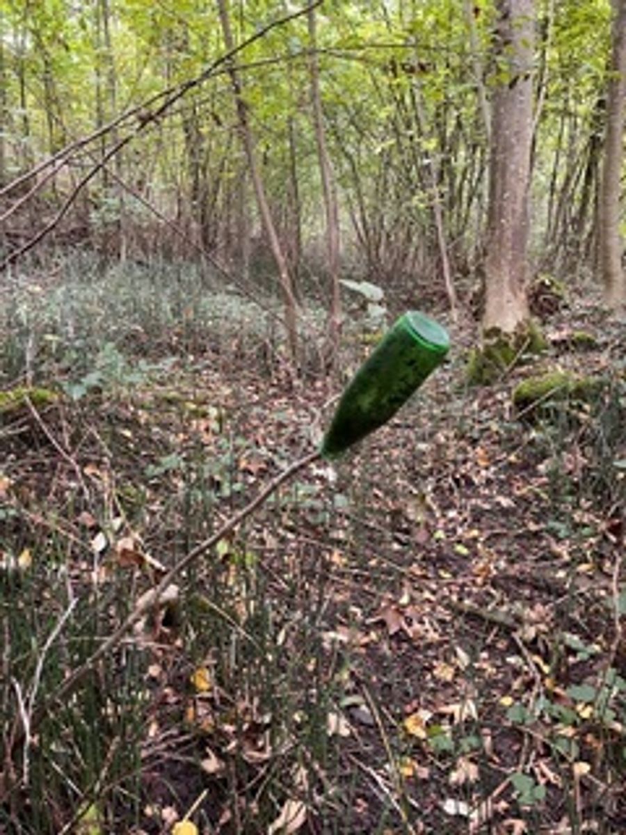 In dem ganzen Gebiet habe es abgerissene Äste gehabt, auf einem hatte jemand eine Flasche platziert.
