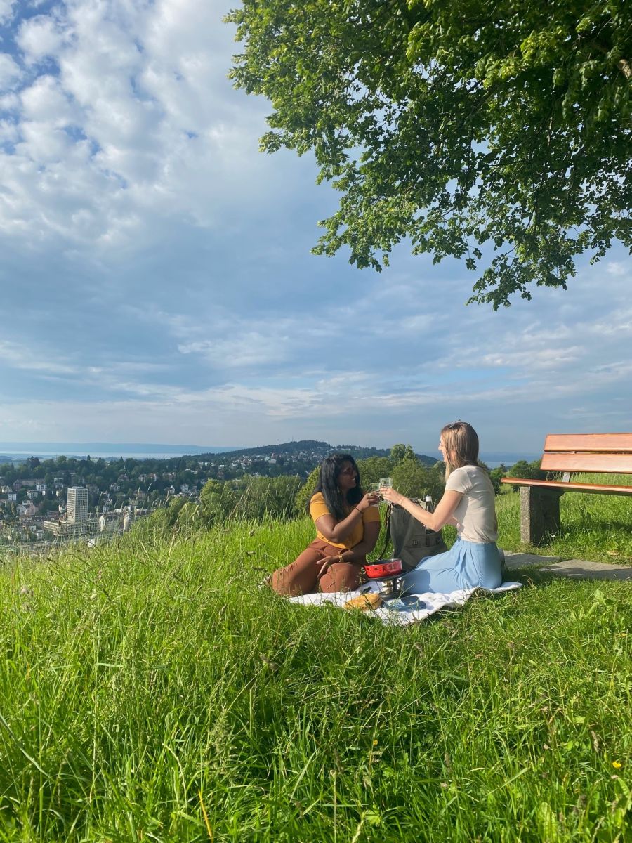 Picknick Berneggwald Scheffelstein