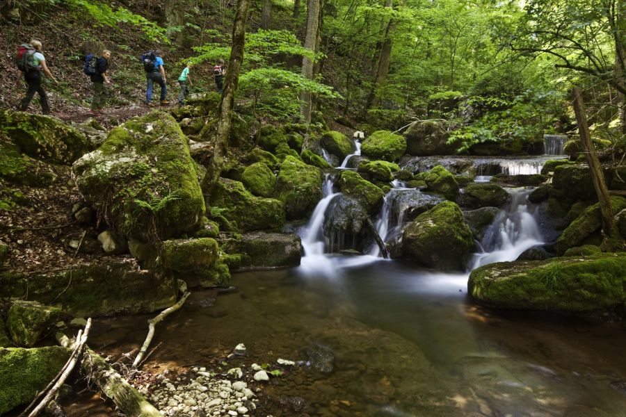 Noch mehr Lust auf Wandern? Von Biel aus erreichen Sie mit der Standseilbahn das Bergdorf Magglingen. Die Wanderroute führt von dort über den Twannberg und schliesslich hinab nach Twann. Diese etwa dreistündige Tour besticht durch spektakuläre Aussichtspunkte, den Abstieg durch die beindruckende Twannbachschlucht und die verträumten Winzergassen von Twann.