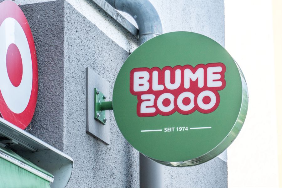Blume 2000