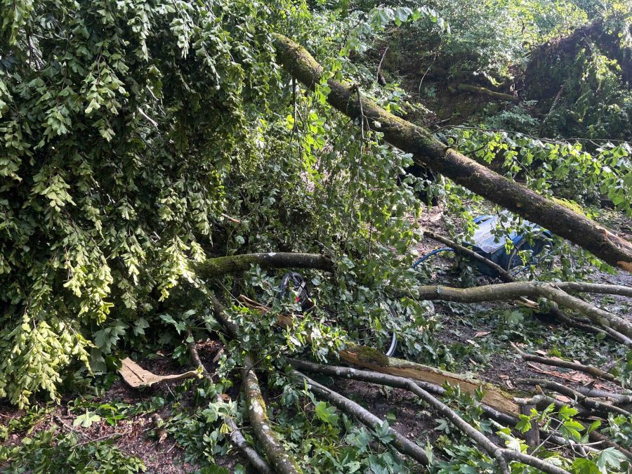 Unwetter Schäden