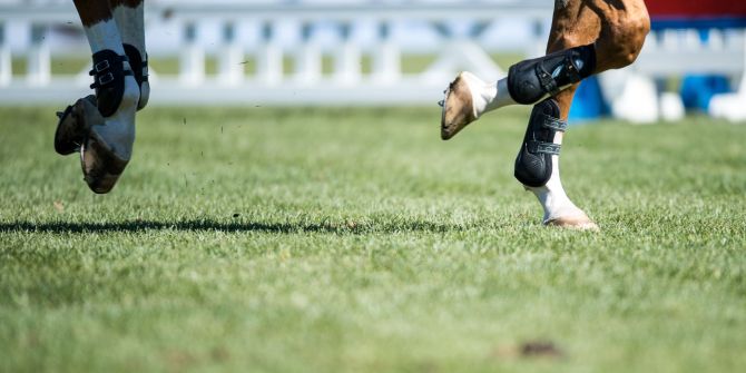 Reiten