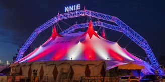 St. Gallen - Stadtrat will Circus Knie in der Innenstadt halten