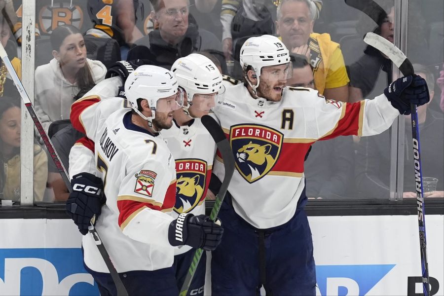 Panthers Bruins Hockey