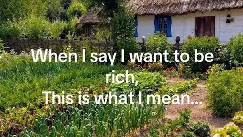 wenn-ich-reich-ware