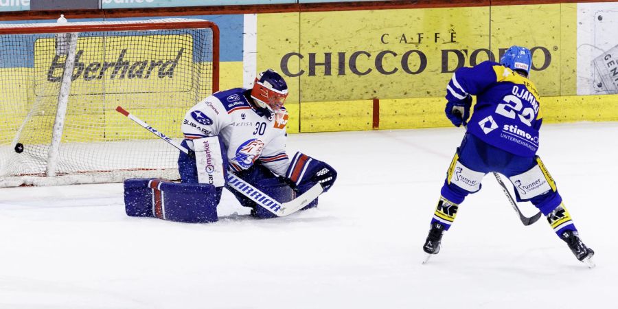 ZSC Lions