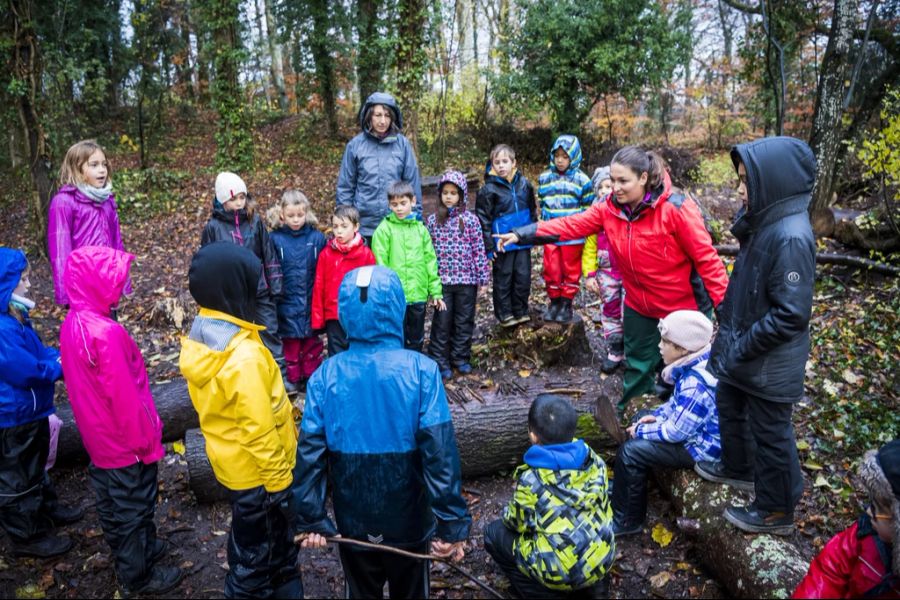 Die Schule versucht entgegenzuwirken, indem sie Events wie Waldtage organisiert.