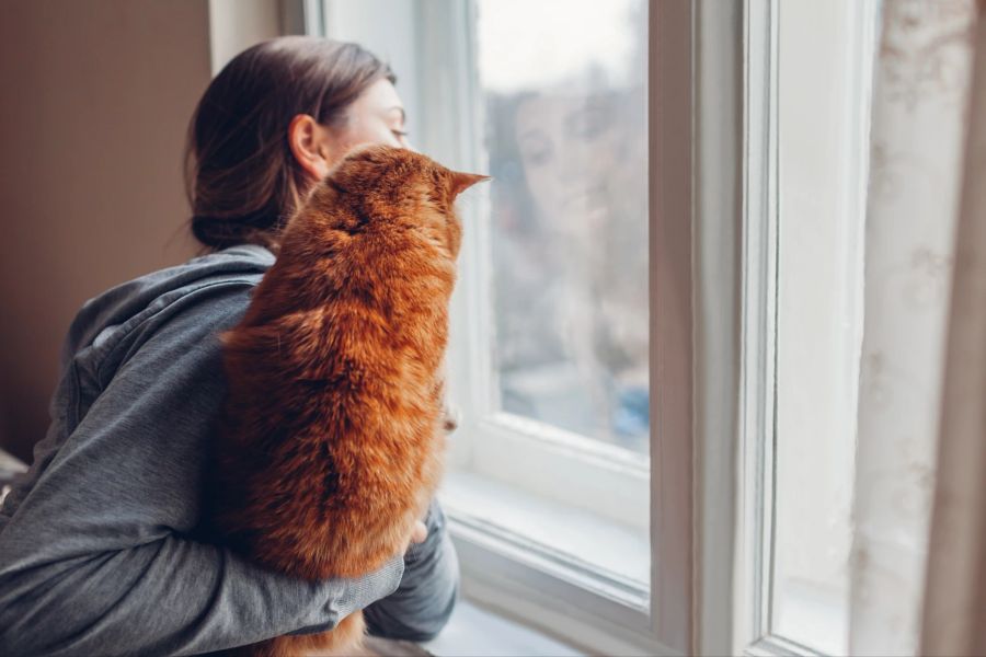 katze Frau trauer fenster