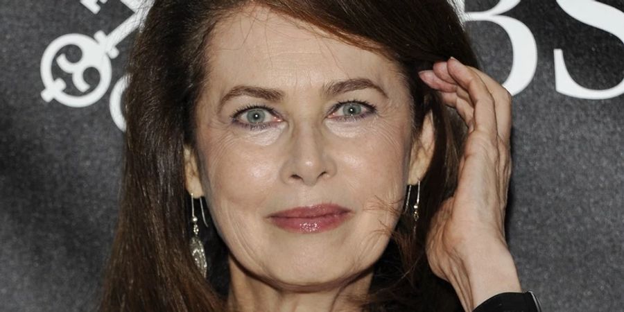 Dayle Haddon