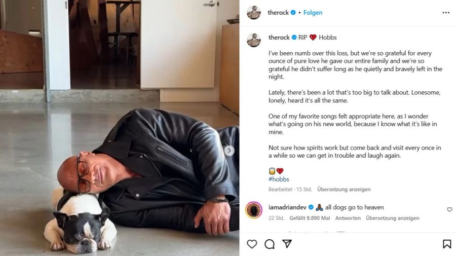 Dwayne Johnson mit seiner französischen Bulldogge auf Instagram.