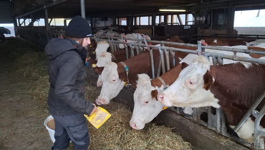 Trotz einigen Vorurteilen liess sie sich den Weg in die Landwirtschaft nicht verbauen.