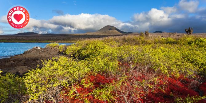 floreana galapagos Inseln