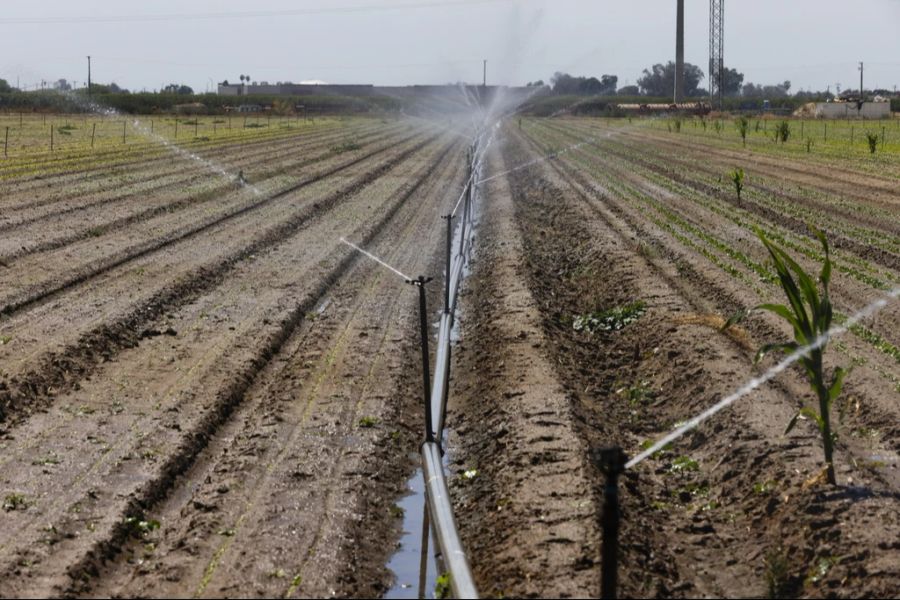 «Dadurch besteht die Gefahr, dass die Landwirtschaft in den Sommermonaten nicht genügend Wasser erhält.»