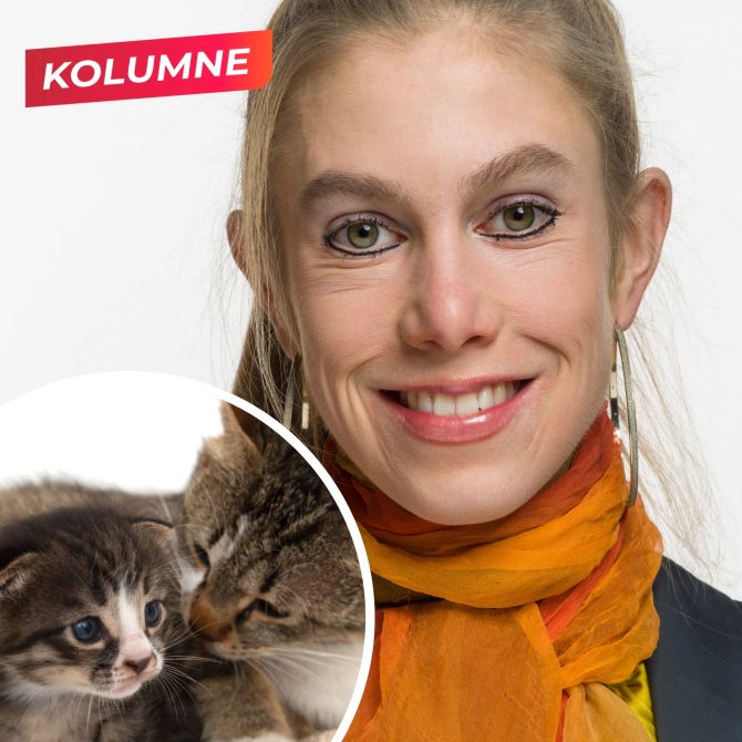 Kolumne Meret Schneider