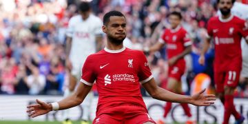 Cody Gakpo FC Liverpool
