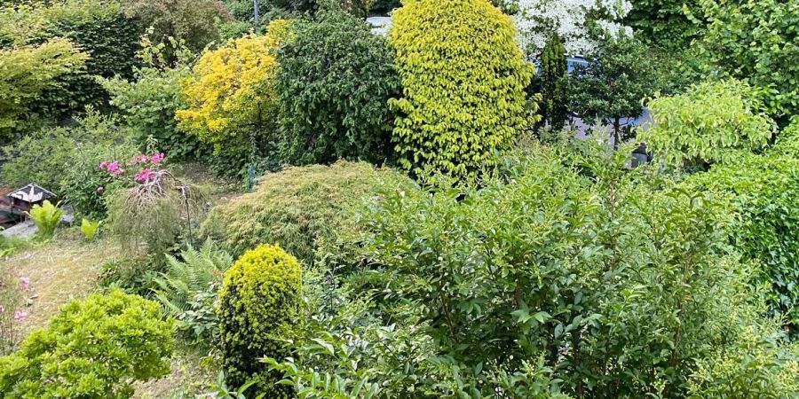 In diesem Berner Garten ist die Nachbarin gestürzt.