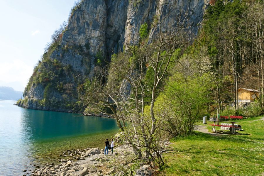 Die Feuerstelle Knüsel liegt direkt am Walensee.