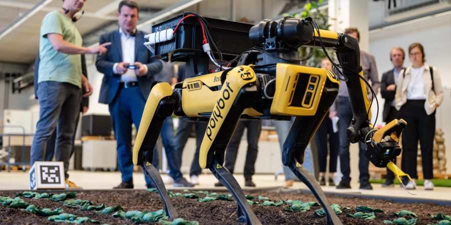 Bundesarbeitsminister Hubertus Heil testet einen landwirtschaftlichen Roboter. Laut dem SPD-Politiker wird die Arbeit auch in Zeiten der Künstlichen Intelligenz wahrscheinlich nicht ausgehen - aber in vielerlei Hinsicht anders sein.