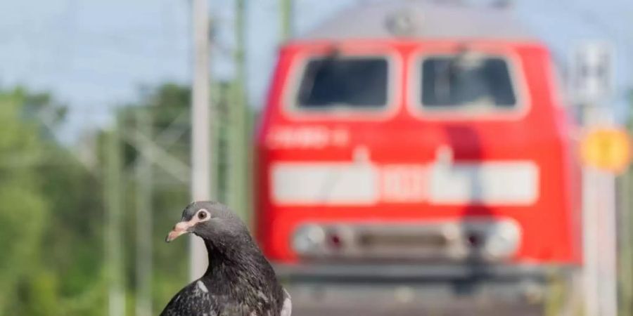 Der Streik bei der Deutschen Bahn ist vorerst beendet. Foto: Julian Stratenschulte/dpa