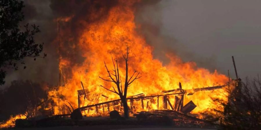 Auf Sizilien lodern Waldbrände. Wegen dem Feuer musste der Flughafen von Palermo am Dienstag seinen Betrieb einstellen.