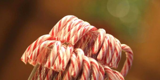 Zuckerstangen Zuckerstangen