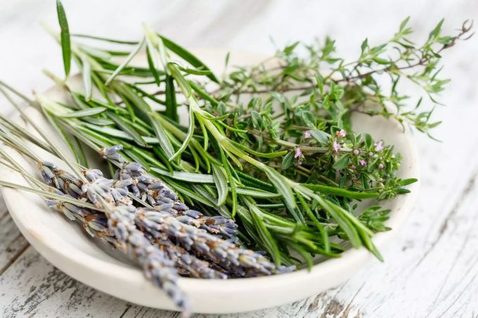 Kräuter verfeinern eine Marinade. Kräuter