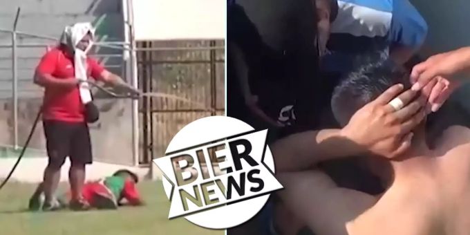 Spieler auf Boden - Bienenschwarm crasht bolivisches Fussballspiel!