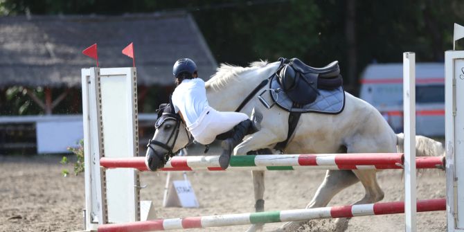 Pferd verweigert vor dem Sprung