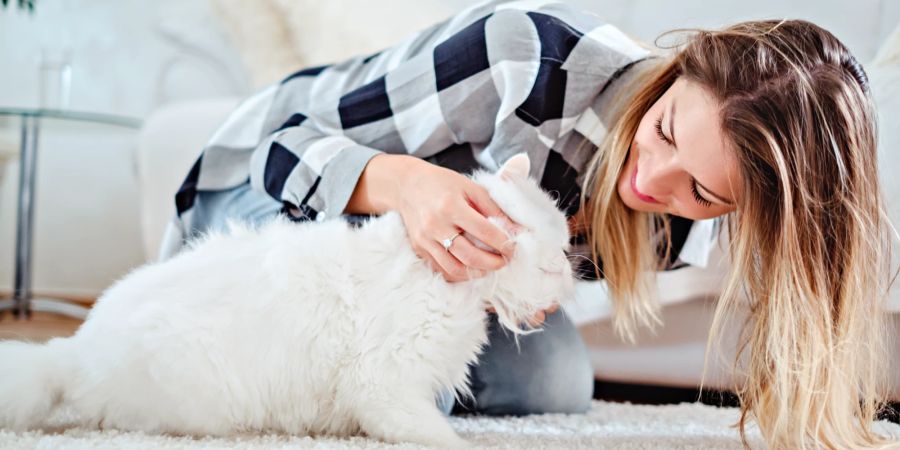 Frau streichelt Katze