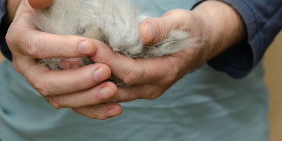 Bei auffälligem Haarausfall sollten Katzenhalter mit Ihrem Stubentiger zeitnah zum Tierarzt.