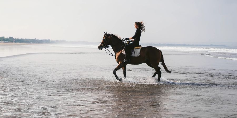 Reiterin reitet Pferd im Meer