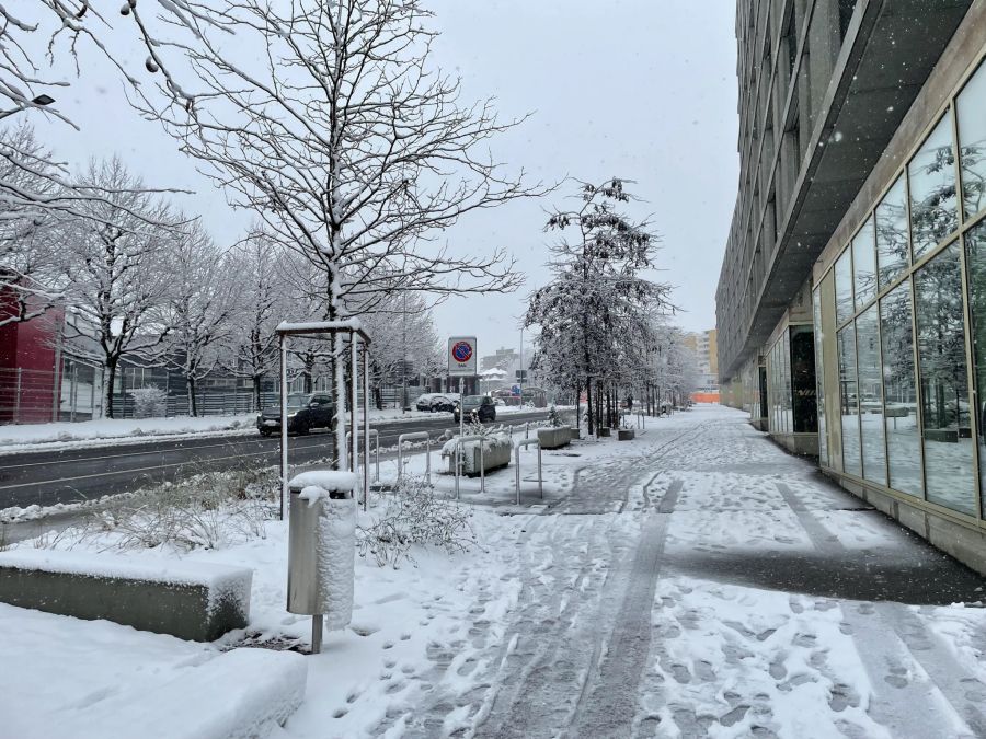 In der Stadt Freiburg lag auch Samstagvormittag noch viel Schnee.