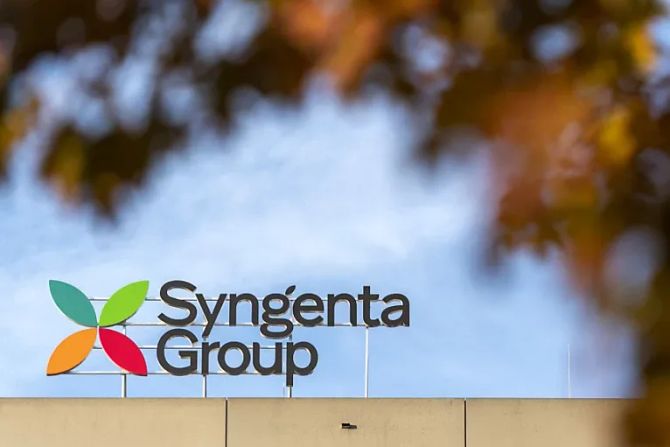 syngenta group