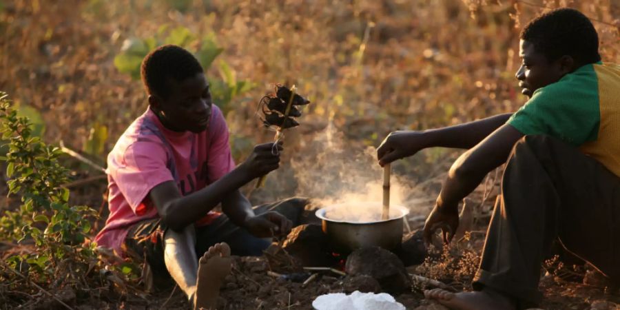 Zwei Männer in Malawi essen gekochte Mäuse. (Archivbild)