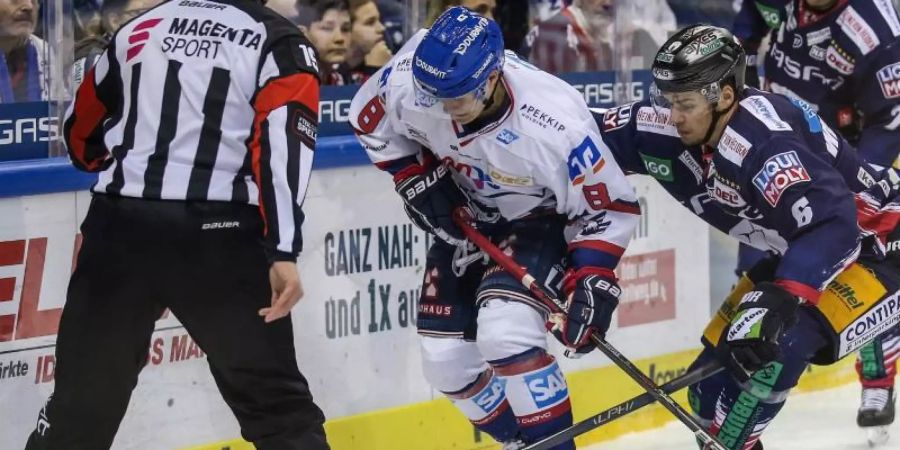 Tim Stützle (M.) will die Planung seiner möglichen NHL-Karriere besonnen angehen. Foto: Andreas Gora/dpa