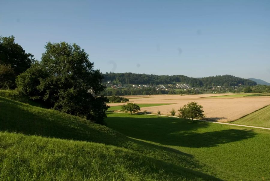 Prallhang Zofingen