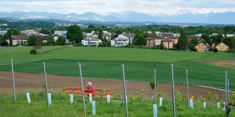 Die Landschaft bei Dietlikon.